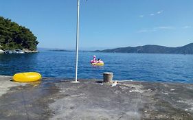 Apartments Ivo - 20M From The Sea